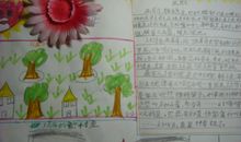 三年级看图作文：捉老鼠_350字