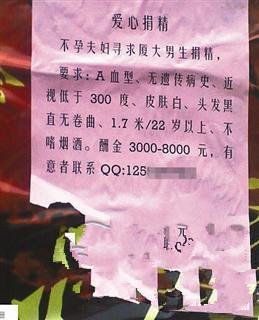 构成尊严：真正的尊严_650字