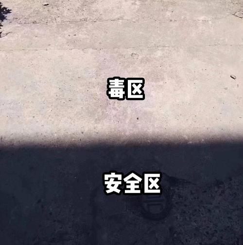 我脑海中的“太阳” _650字