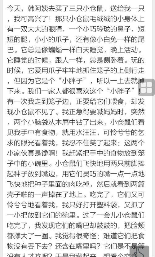 小鸟（模仿）_50字