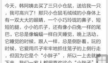 小鸟儿（仿写）_50字