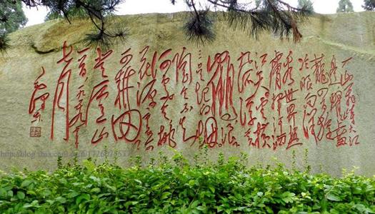 【读书笔记】摘自《毛泽东文选》，抛开幻想，准备抗争_400字