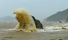 《惊涛骇浪》观后感_350字