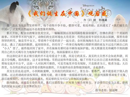 关于“我们在中国出生”的思考_1000字