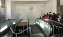 跟着导游走 _900字