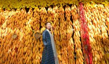 收获的秋天_350字