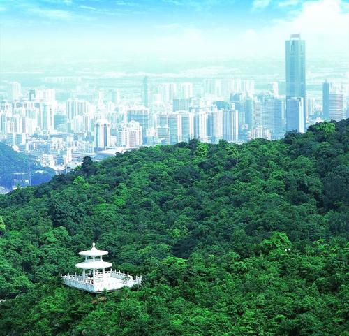 广州白云山_400字