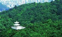 广州白云山_400字