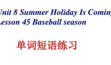 Summer holiday_550字