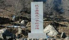 二年级观后感作文：《小英雄王二小》观后感_250字