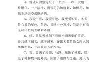 中考优美段落：冬天的优美段落_1200字