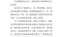 运动会前后_500字