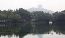 游花港观鱼_500字