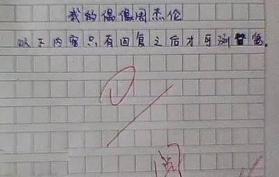 我的偶像_400字