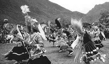 [少年作家杯A组]密林深处，友谊之花正开放_1500字