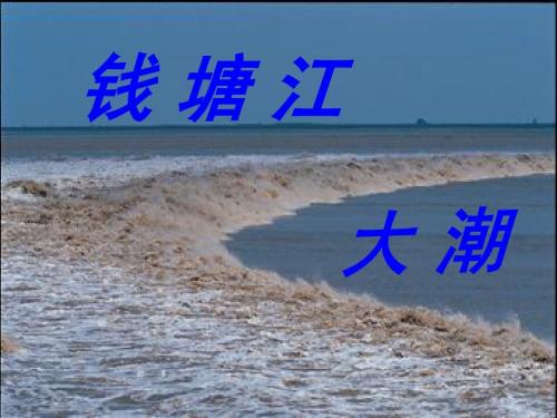 钱塘江大潮_600字