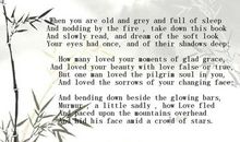 MEG ，l loved you!_350字