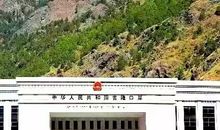 [少年作家杯B组]真挚的友情_800字