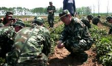 为军人的气质喝彩_1000字