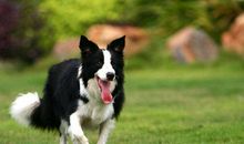 永不退缩的精神_300字