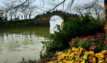 春游鼋头渚_550字