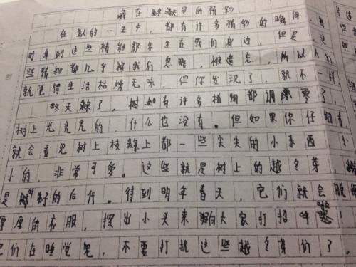 [微观作文]冬季风光_1000字