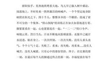 我的102宿舍_800字