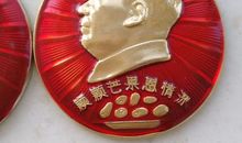 向解放军致敬_550字