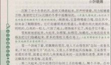 【微作文】冬季如画_100字