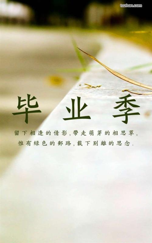 Miss_800字