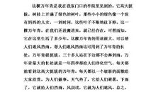 思念的那个人_1000字