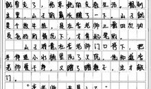 2017小升初满分作文：那一次，我懂得了理解