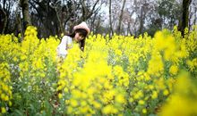 岁月，请再送我那串风铃_800字