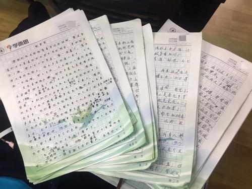 茅盾青年文理学院评选的优秀作品