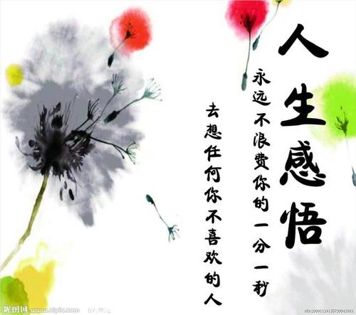 关于美的构图：感受生命之美_1200字