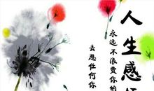 关于美的作文：感悟生命之美_1200字