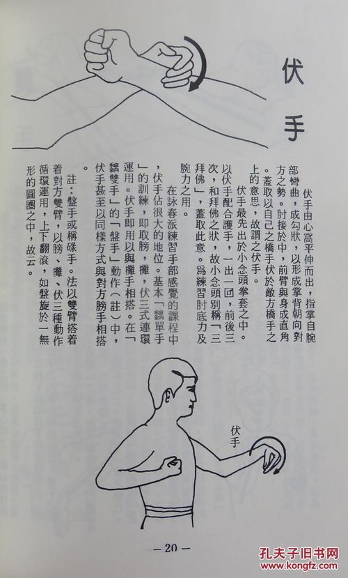咏春音乐_30字