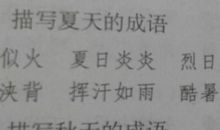 关于天气的描写：温柔的小雪花_1200字