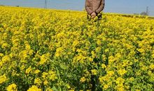 交一份诚信的答卷_700字