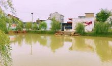 关于美的作文：美丽的乡村景色_600字