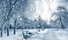 关于天气的描写：下雪了_800字