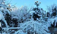 关于天气的描写：雪后_900字