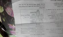 父亲节英语作文：孩子与父母贱的良好关系是怎样的?_700字