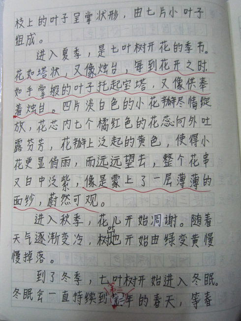关于美的构图：校园之美_2000字