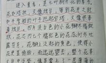 关于美的作文：校园的美景_2000字