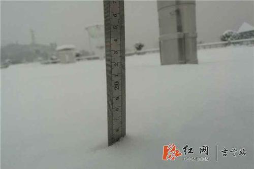 天气描述：一个大羽毛，长着羽毛_800个单词