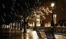 关于天气的描写：寂寞的雨夜_1000字