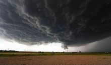 关于天气的描写：暴风雪_800字