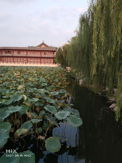 高中入学考试精美段落：初秋段落_2000字