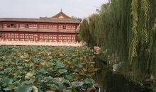 中考优美段落：初秋段落_2000字